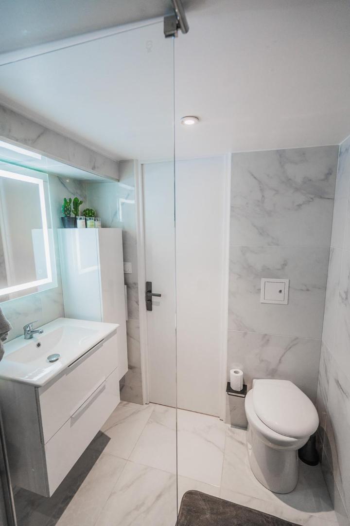 Maison Zola Fleury les Aubrais Bagian luar foto